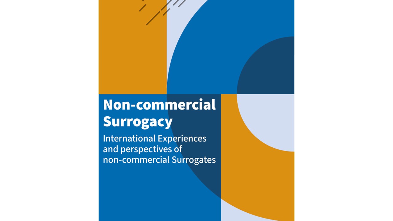 Slide Noncommercial surrogacy